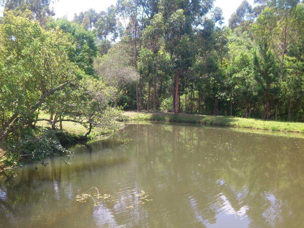 Pousada Ilhas Do Sol Senador Amaral Quarto foto